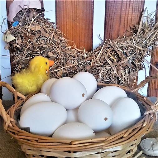 Iný materiál - VÝDUTKY (biela) - 11775119_