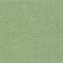 Textil - Teplákovina  zelenkavá (808) - 11815816_