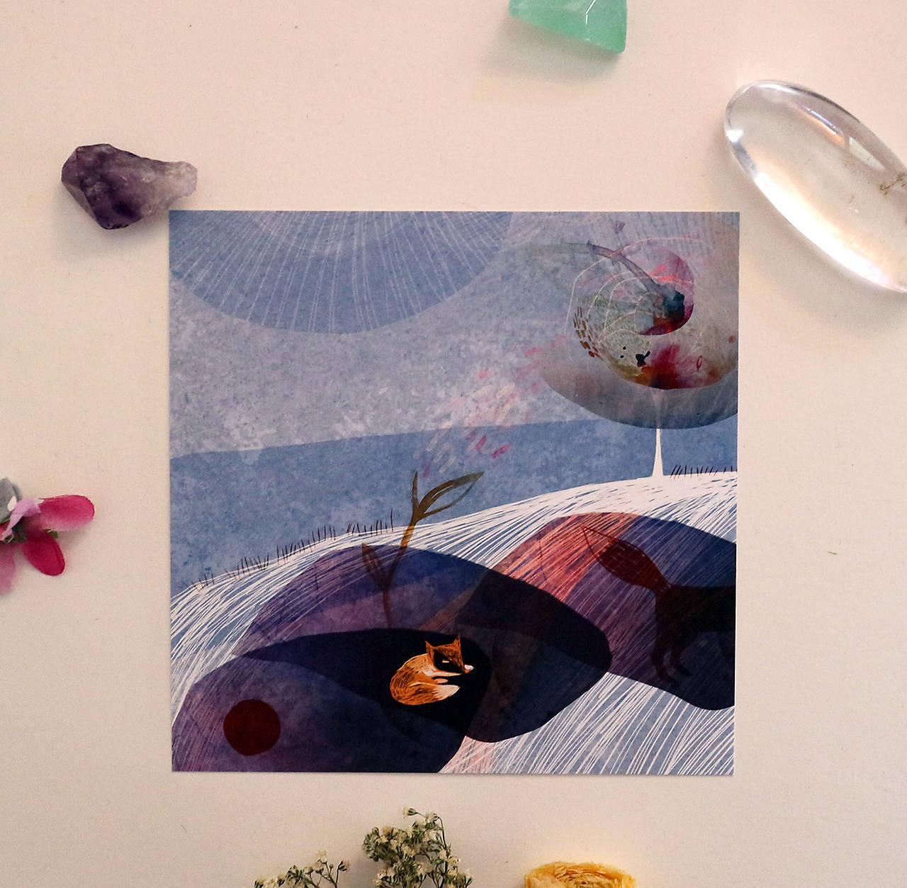 Zóny bezpečné no.1