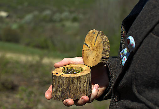 Prstene - Drevená krabička na obrúčky - Pníček - 11832864_