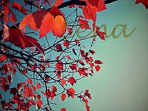 Fotografie - Kouzelné barvy podzimu - Autorská foto - 11843860_