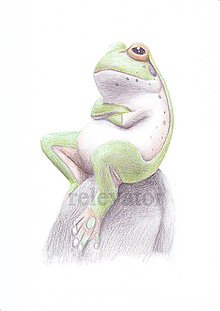 Kresby - Trošičku vytočená žaba (hmotná forma) - 11871418_