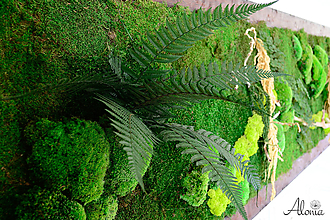 Obrazy - Machový obraz zo stabilizovaných rastlín na stenu (Machový obraz džungla) - 11902022_