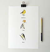 Kresby - Plakát - ptáci "1" - 11909806_