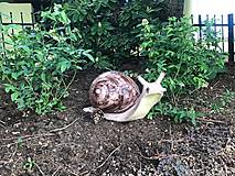 Sochy - Veľký keramický slimák do záhrady - 11920361_