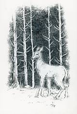 Kresby - Srnka medzi kmeňmi stromov Art Print - 11944683_