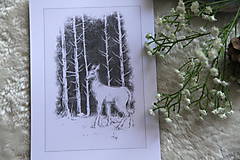 Kresby - Srnka medzi kmeňmi stromov Art Print - 11944688_