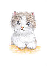 Kresby - Mačiatko proste roztomilo čumí - 11945867_