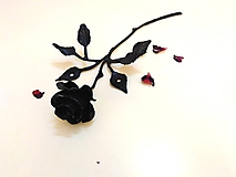 Dekorácie - čierna ruža - 11958516_