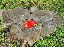 Červený kvetinový hrebeň
