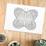 Papiernictvo - Relaxačná omaľovánka motýľ - 12005581_