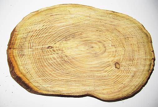  - Veliké hrubé drevené pláty z Agátového dreva - dlhé 30 cm - Sada 3 kusy - 12010536_