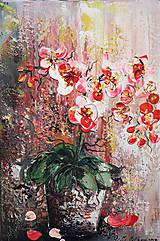 Obrazy - Orchidea červená - 12020935_
