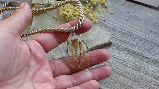 Náhrdelníky - Živicová slza - chirurgická oceľ (AKCIA s makovičkami dlhší č. 3195) - 12035438_