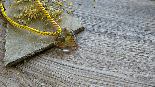 Náhrdelníky - Živicové srdce - chirurgická oceľ (AKCIA s makovičkami , č. 3197) - 12035488_