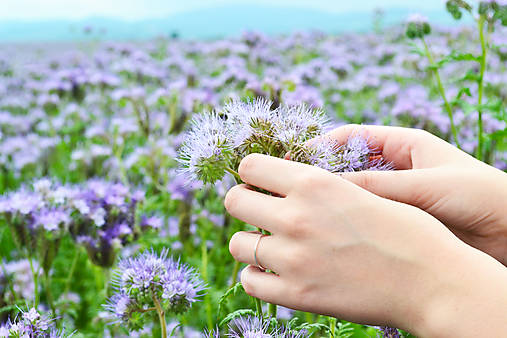 Prstene - Strieborný prstienok - Čipečky - 12050570_