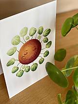 Grafika - Hello plantshine! - Print | Botanická ilustrácia - 12067700_