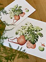 Grafika - Letná pohodička - Print | Botanická ilustrácia - 12067775_