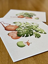 Grafika - Letná pohodička - Print | Botanická ilustrácia - 12067777_
