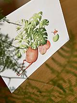 Grafika - Letná pohodička - Print | Botanická ilustrácia - 12067779_