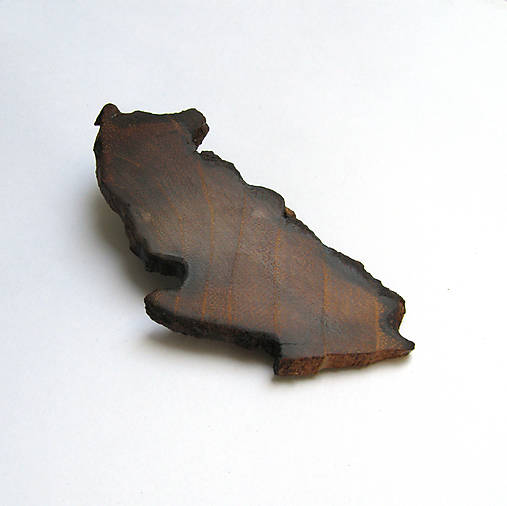 Ozdoby do vlasov - Drevená pinetka do vlasov - agátová - 12077013_