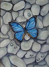 Obrazy - Motýľ na kamienkoch - akvarel (rám tmavé drevo) - 12130405_