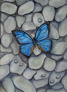 Obrazy - Motýľ na kamienkoch - akvarel - 12130405_