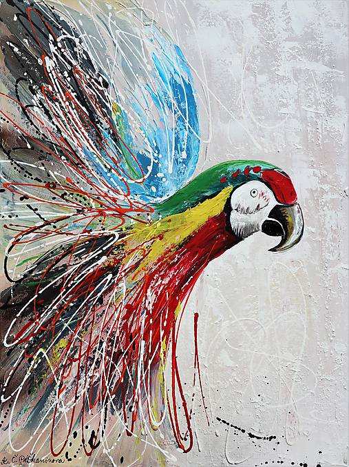 Obrazy - ,,Papagáj,, - 12163120_