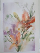 Akvarel originál Oranžové lilie