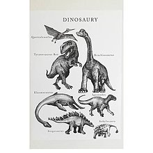 Grafika - Plagát Dinosaury A3+ - 12202622_