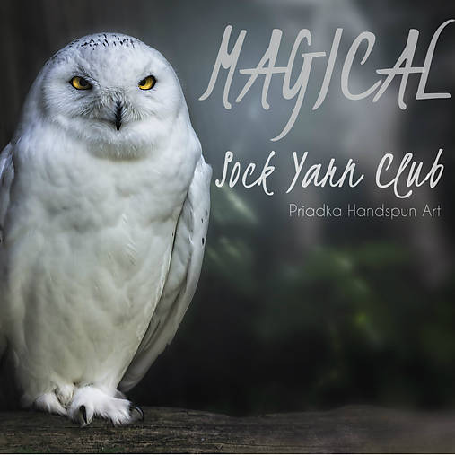 Magický ponožkový VLNA CLUB - August 2020