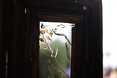 Rámiky - Drevený rám zo starého dreva so sušenými kvietkami. - 12247596_