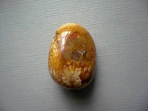 Minerály - Troml. - zkamenělý korál 28 mm, č.19f - 12266278_