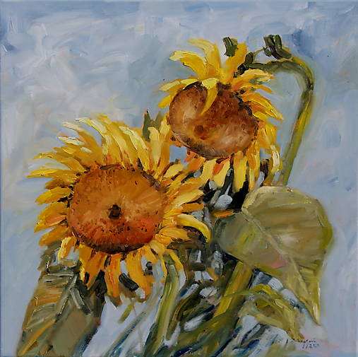 Obrazy - Slnečnice - 12383714_