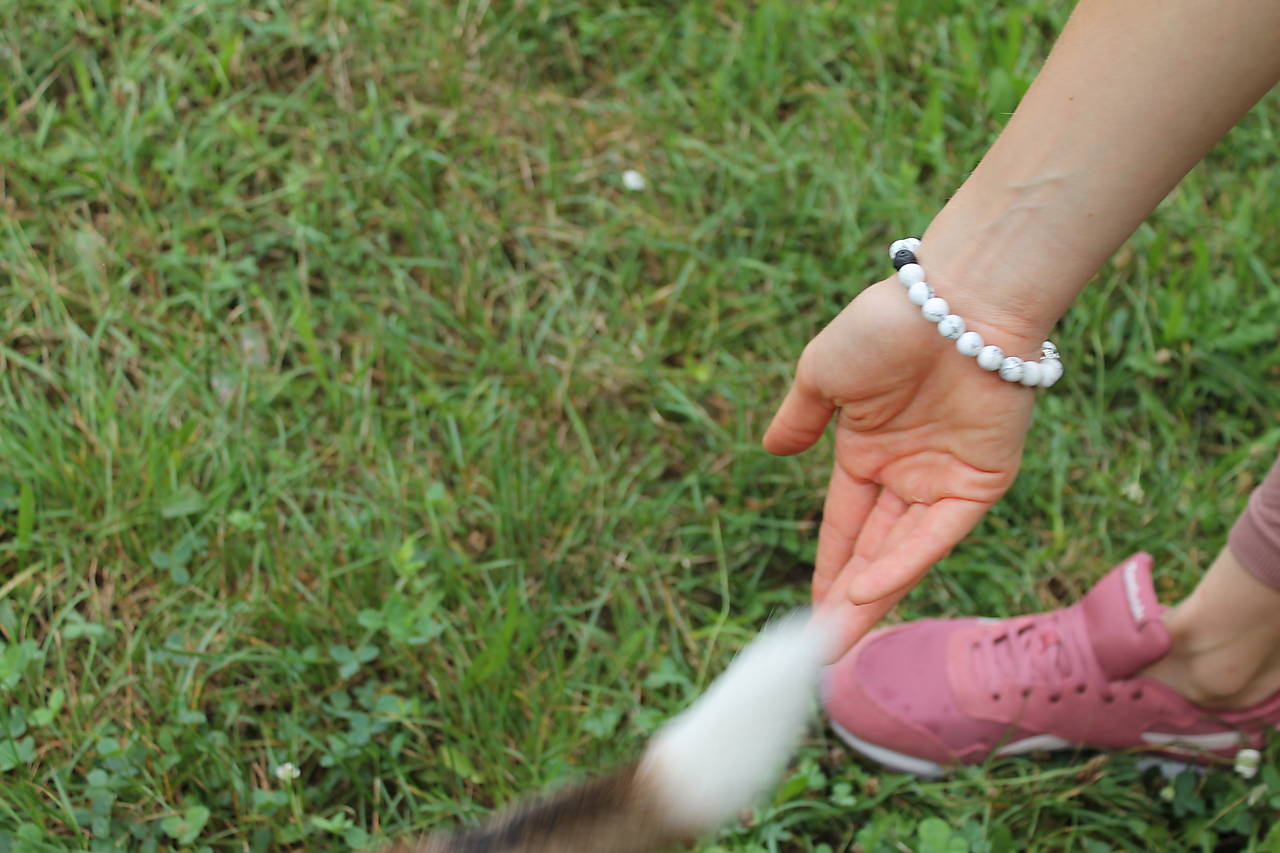 Christophef 01❤️pre zvieratá