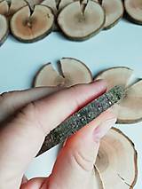 Dekorácie - Drevené plátky okrúhle s prasklinou - priemer cca 7 cm (s 1 prasklinou) - 12396731_