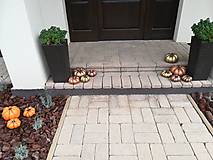Dekorácie - Jesenná dekorácia - Tekvičky (Malá  - Meď/Bronz) - 12413005_