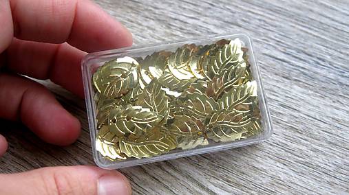 Komponenty - Kovové lístky 10 x 17 mm, balenie 80 ks - 12421303_