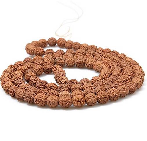 Minerály - Semienko Rudraksha, 1 ks (9 mm) - 12450567_