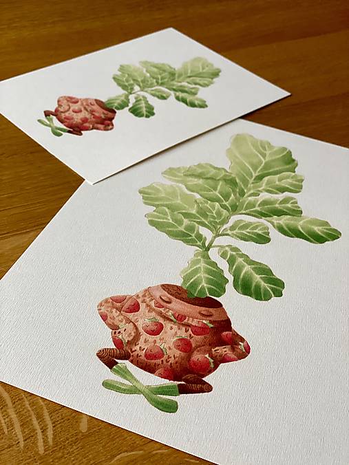 Fikus vo svetríku - Print | Botanická ilustrácia