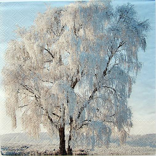 Papier - Servítka  Z 183 - 12563811_