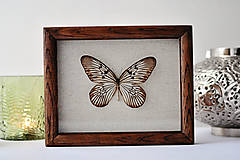 Dekorácie - Idea idea- motýľ v rámčeku - 12560856_