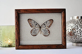 Dekorácie - Idea idea- motýľ v rámčeku - 12560856_