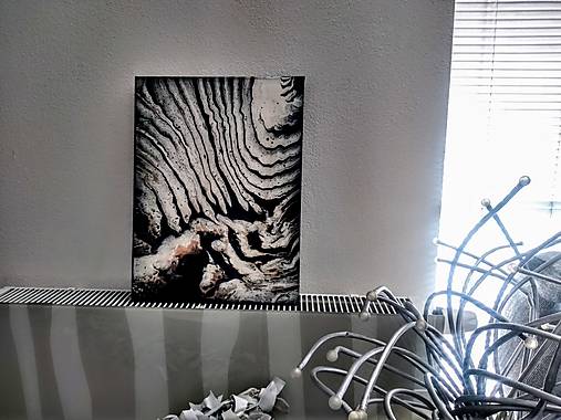 Zebra style - akryl - 40 x 30 cm