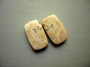 Minerály - Pár kabošonů - korál 18 mm, č.13f - 12614717_