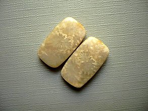 Minerály - Pár kabošonů - korál 19 mm, č.25f - 12615150_