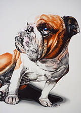 Obrazy - Akrylový portrét Mini - podľa Vašej foto - 12615479_