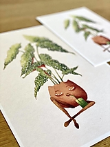Smädná begónia - Print | Botanická ilustrácia