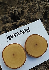 Náušnice - Náušnice z brezového dreva - kruhy - 12679826_