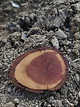 Brošne - Brošňa zo slivkového dreva - 12680198_